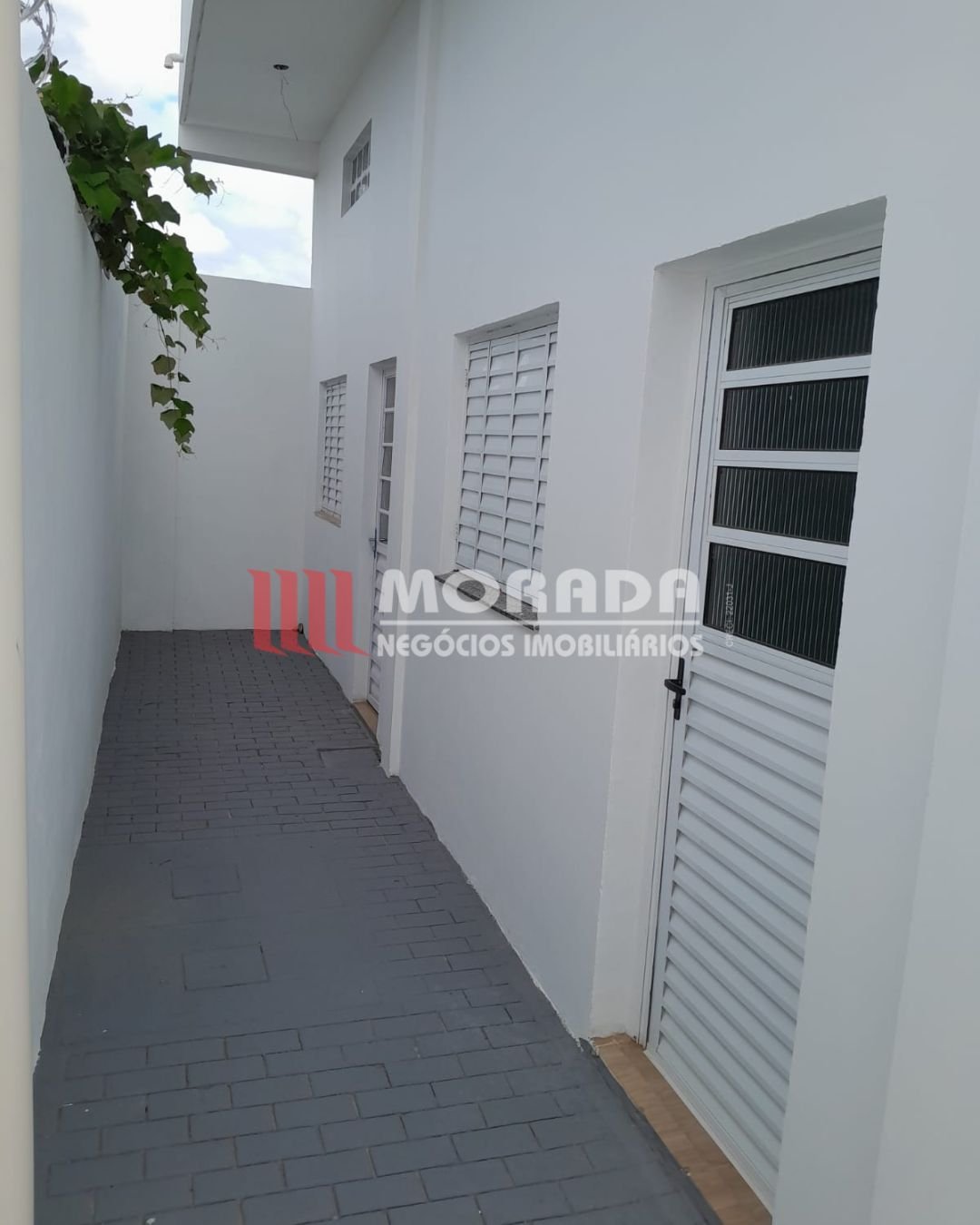 Imóvel Aluguel 1252